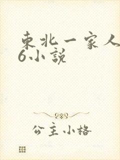 东北一家人1一6小说