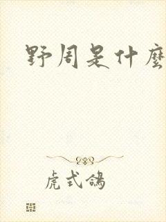 野周是什么意思封面