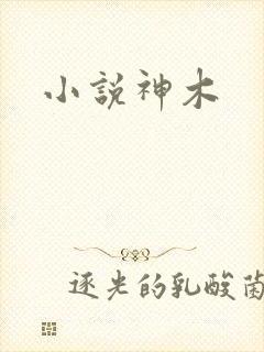 小说神木