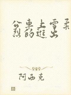 公车上雪柔被猛烈的进出