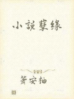 小说孽缘