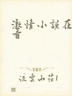 激情小说在线观看