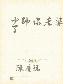 少帅你老婆又跑了封面