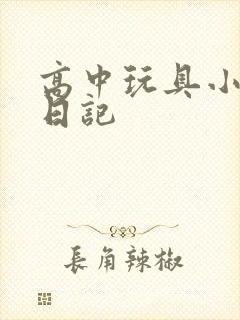 高中玩具小诗的日记
