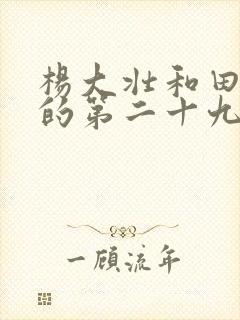 杨大壮和田桂花的第二十九