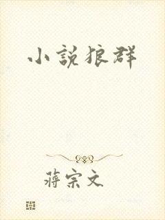 小说狼群