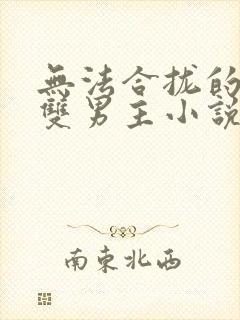 无法合拢的总裁双男主小说