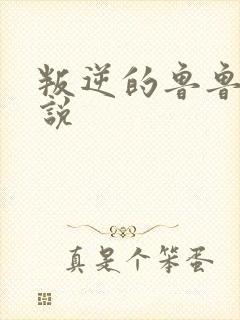 叛逆的鲁鲁修小说