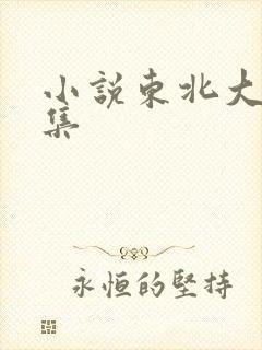 小说东北大炕全集