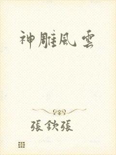 神雕风云