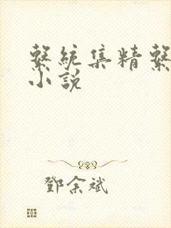 系统集精系统 小说