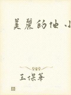 美丽的他 小说