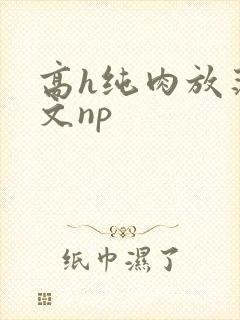 高h纯肉放荡h文np