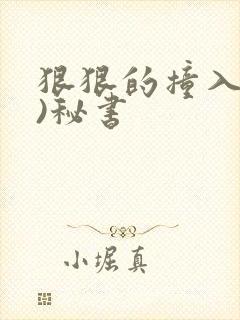 狠狠的撞入(h)秘书