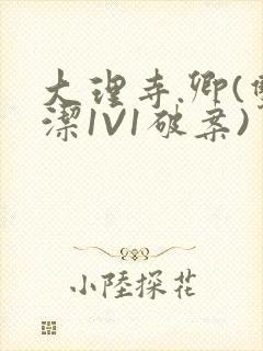 大理寺.卿(双洁1V1破案)