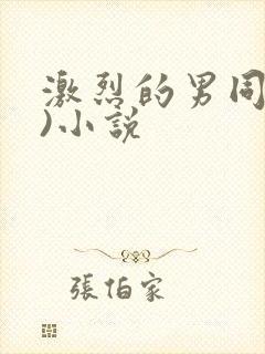 激烈的男同(h)小说