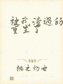 被我渣过的男主重生了