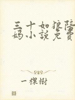 三十如狼陪读妈妈小说免费阅读