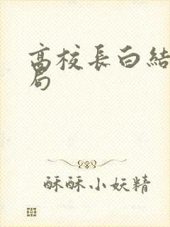 高校长白结大结局