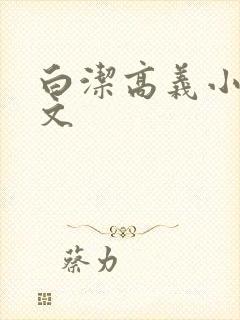 白洁高义小说全文