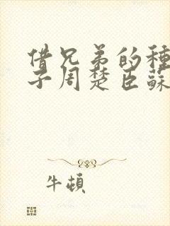 借兄弟的种生孩子周楚臣苏糖