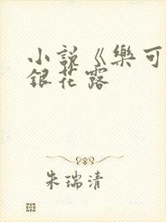 小说《乐可》金银花露封面