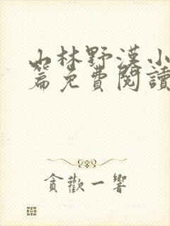 山林野汉小说全篇免费阅读