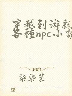 穿越到游戏里和各种npc小说