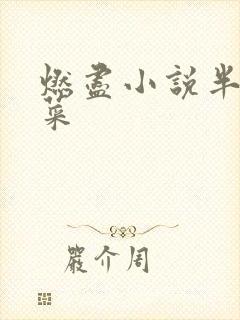 燃尽小说半截白菜