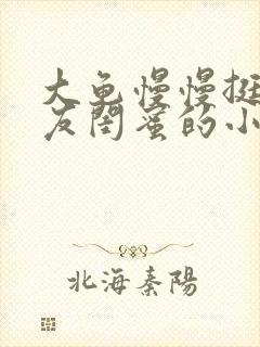 大龟慢慢挺进女友闺蜜的小说