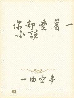 你却爱着一个他 小说