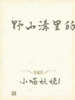 野山沟里的村庄