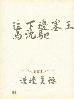 《往下边塞玉器骑马沈驰》小说封面