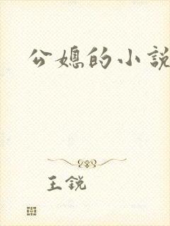 公媳的小说