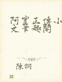 阿宾正传小说全文笔趣阁