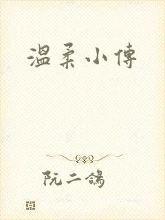 温柔小传