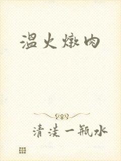 温火炖肉