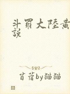 斗罗大陆黄色小说封面