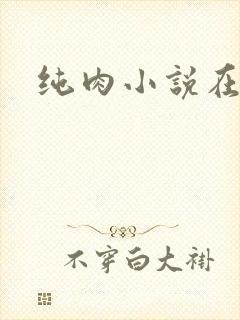纯肉小说在线