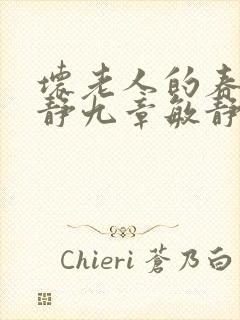 坏老人的春天敏静九章敏静封面