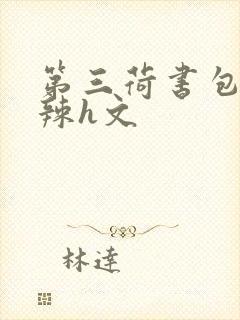 第三荷书包网高辣h文