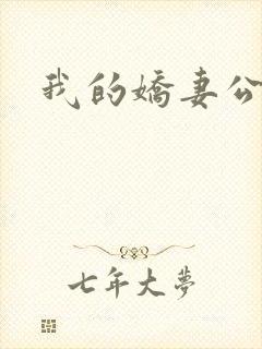 我的娇妻公务员