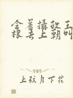 含着摄政王的紫根去上朝叫什么封面