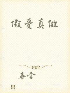 假爱真做