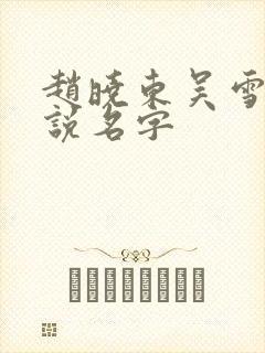 赵晓东吴雪晴小说名字