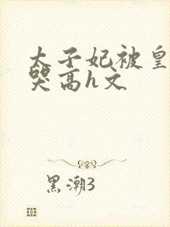 太子妃被皇上c哭高h文