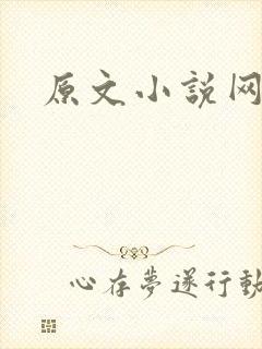 原文小说网