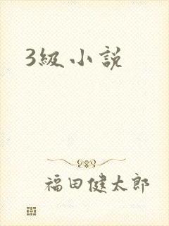3级小说