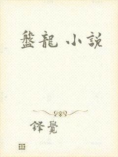 盘龙 小说