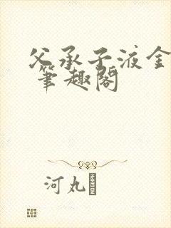 父承子液金银花 笔趣阁封面